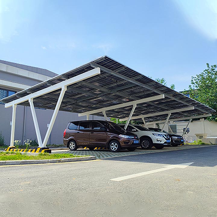 Solaris carort monte