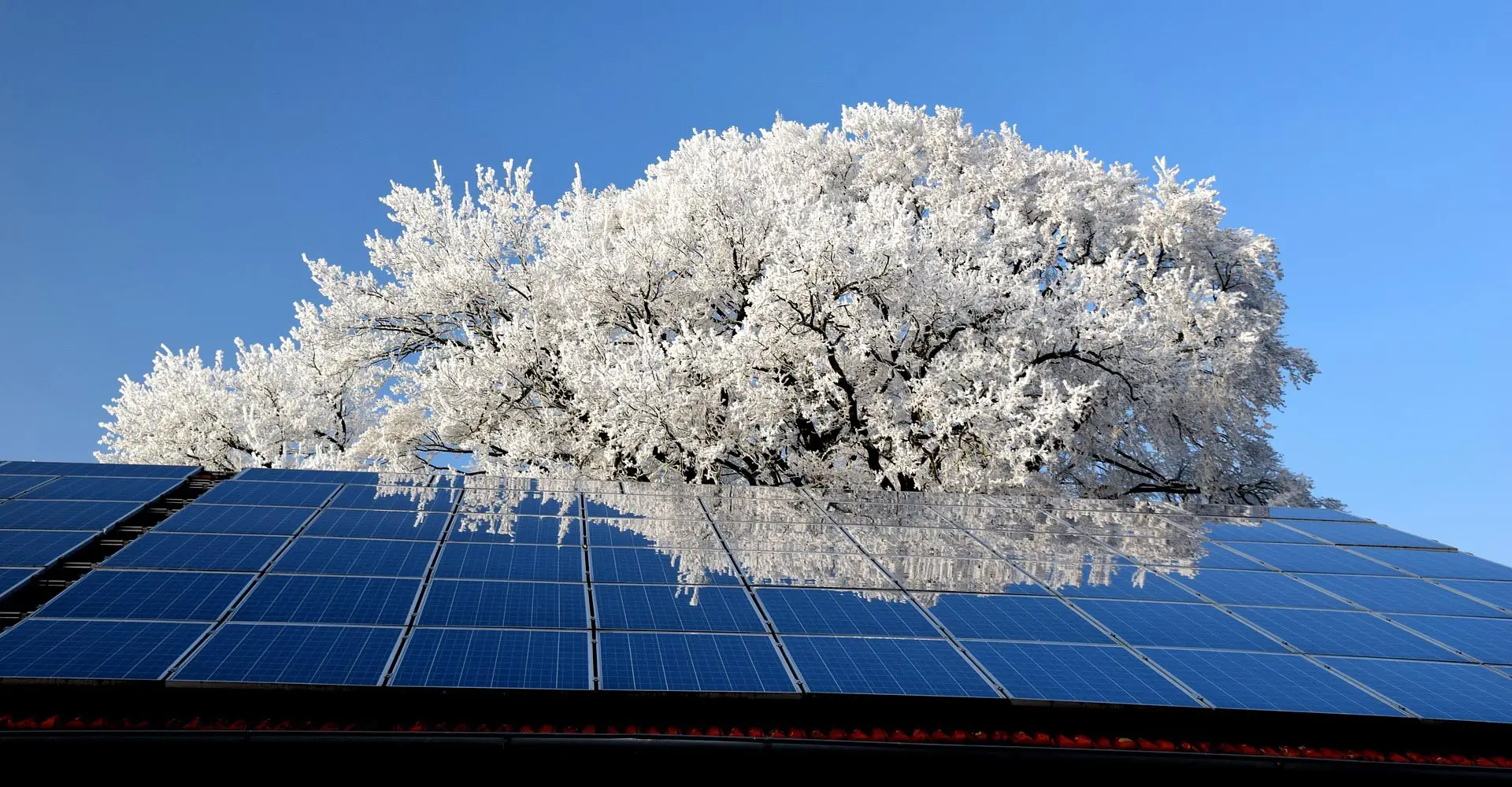 Qualitas solaris tectum factory
