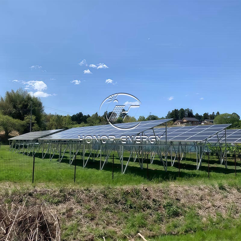 Cur multiplex Row Type Solar Farmland mons optimus choice pro Modern Agrivoltaic Projects