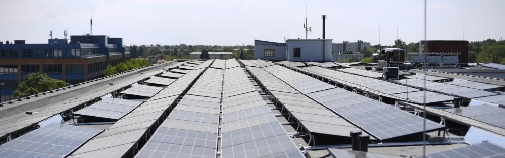 One Roof, One Fit Right - Lessons from Decem Annos serviendi Iaponicae Solaris Market