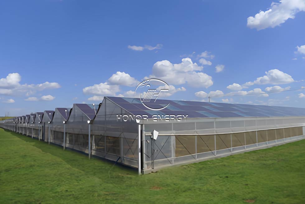 Steel Greenhouse Solar Farmland Mount