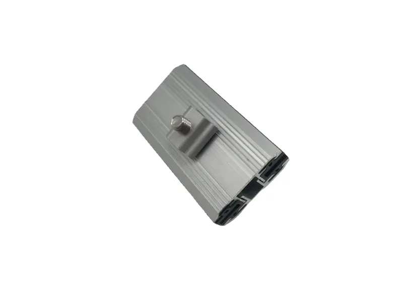 Solaris tenuis amet mid Fibulae